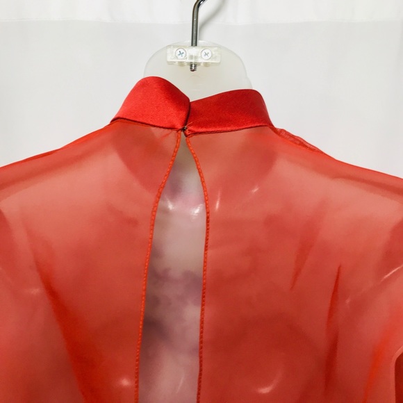 Vintage Burnt Orange Sheer Embroidered Tie Top - Picture 4 of 9